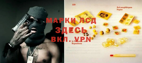 эйфоретик Баксан